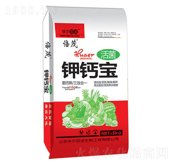 �����}��-�A�����Z