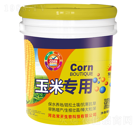 ���׌�(zhu��n)��-��������