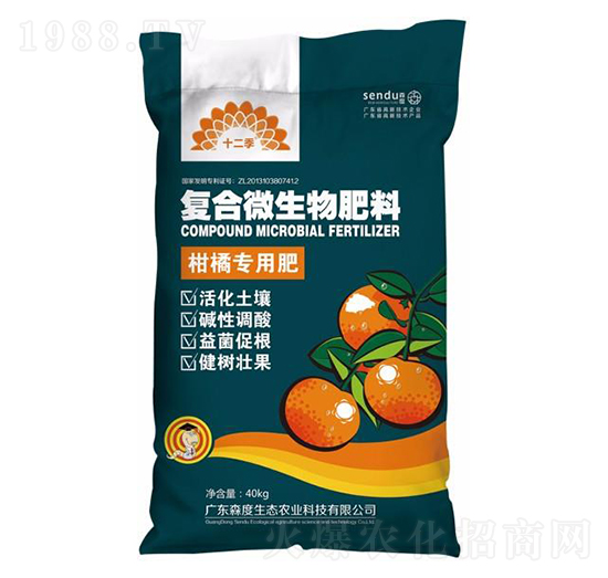 ���ٌ��Ïͺ�΢�������-ɭ��