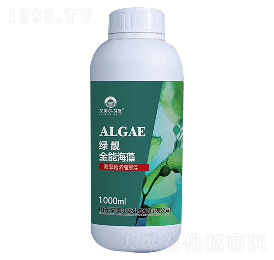 �G�nȫ�ܺ���-���峬��s�Ҹ�-������