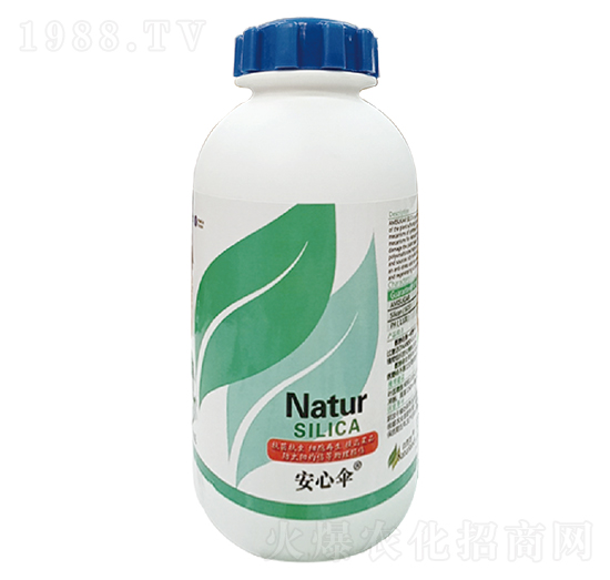 ���Ă�-��������