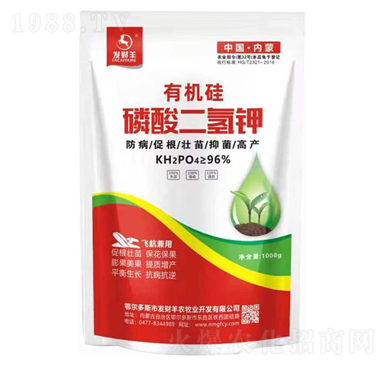 �ЙC����������-�l(f��)ؔ��