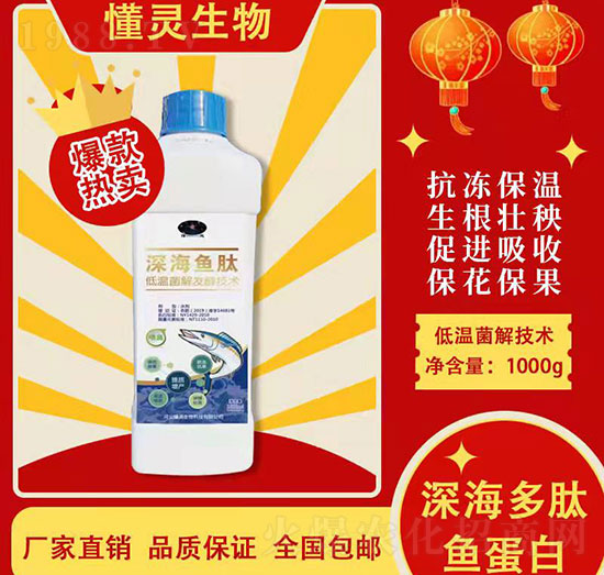 1000g��~��-���`����