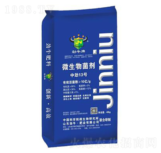 ΢�������-�Є�13̖-��ţ