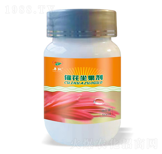 �ٻ�������-�S������