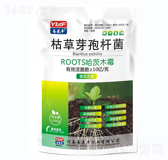 �ݲ�ѿ�ߗU��-���R�S