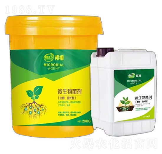 ���������L��΢�������-���-�ݶ��