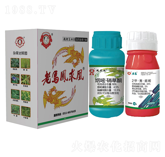 ��Ч�����������ݷ���-���R�L���-�����r(n��ng)�I(y��)