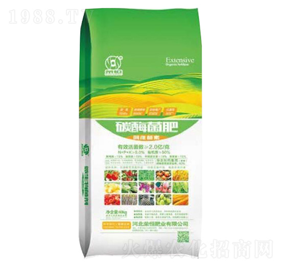 ̼ø����-�s��ʘI(y��)