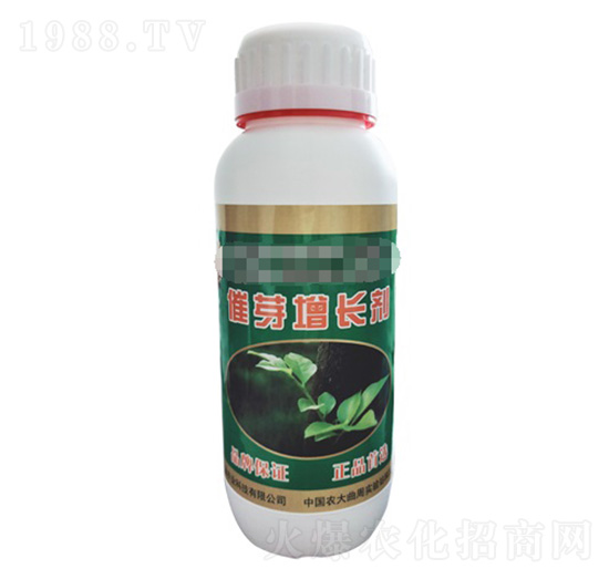 ��ѿ���L(zh��ng)��-�r(n��ng)�־G�r(n��ng)�I(y��)