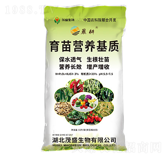 ����I�B(y��ng)���|(zh��)-����-ïʢ����