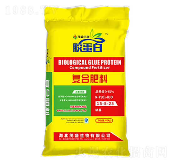 �z���׏ͺϷ���15-5-25-ïʢ����