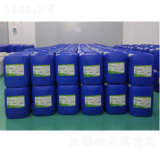 �����{(l��n)���������h(hu��n)�����ã�-�����{(l��n)����