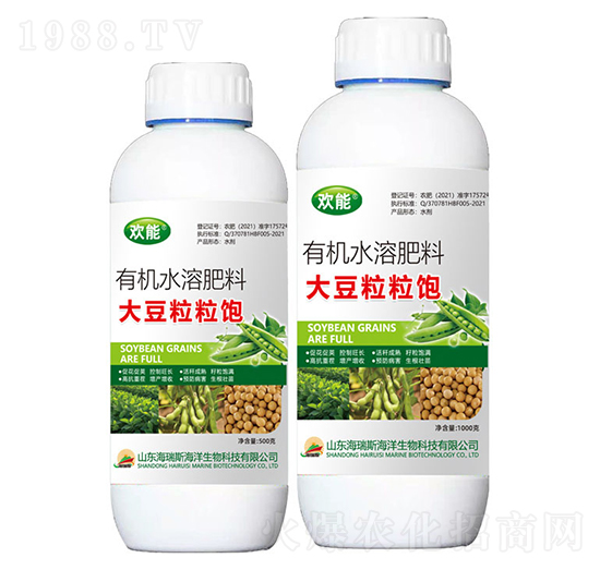 �������-�g��-����˹