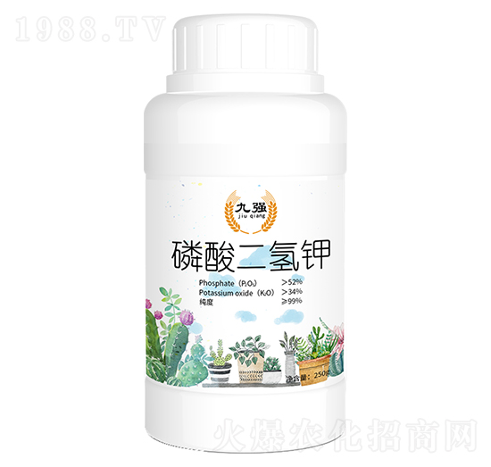 ��������-�ŏ�-����ʘI(y��)