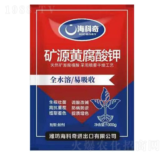 �VԴ�S�����-������