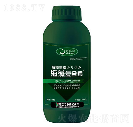 �����(f��)����-������