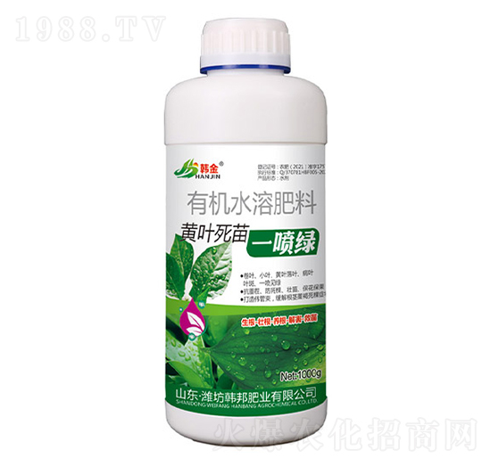 ƿ�b�S�~����һ���G-�n��-�n��ʘI(y��)