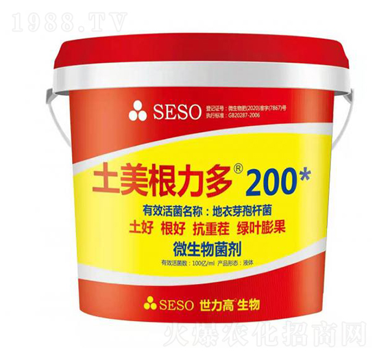 ����������-����������