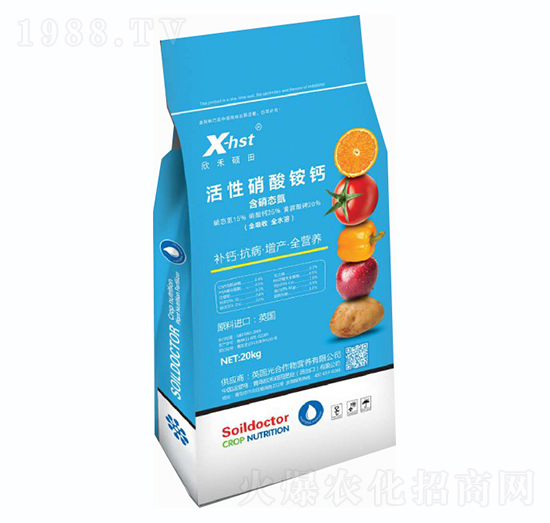 ���������@�}-���̴T��