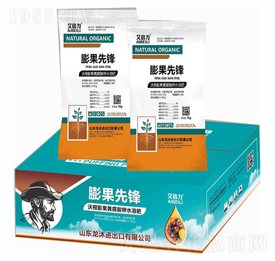 ������h-���̴T��