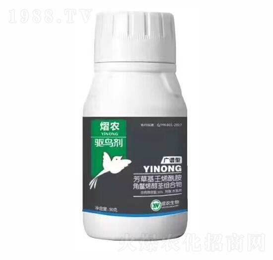 �V�V���(q��)�B��-���r(n��ng)����