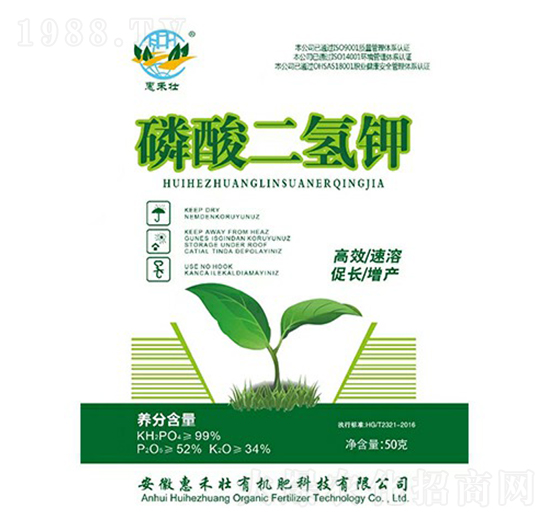 ��������-�ݺ̉�����