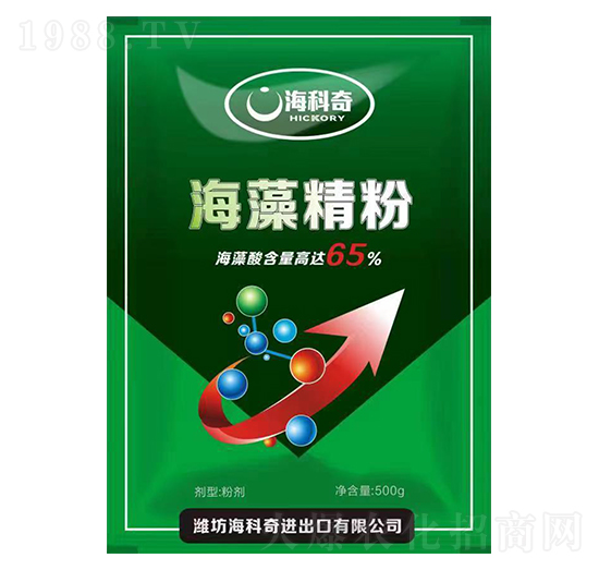 ���徫��-������