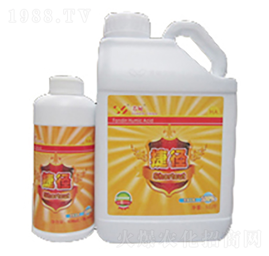 �ݏ�-���|���r(n��ng)�I(y��)