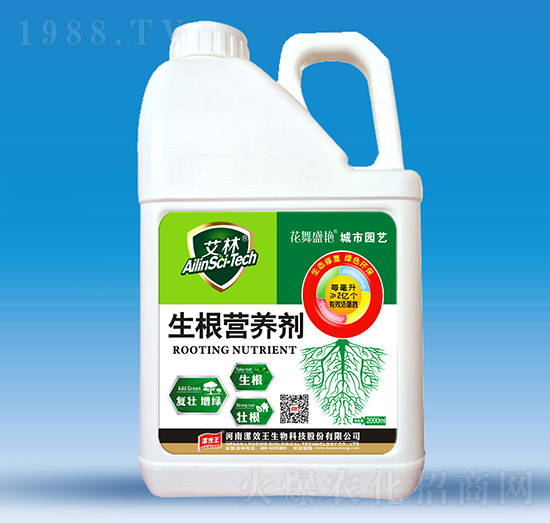 �����I(y��ng)�B(y��ng)��-����-�N������