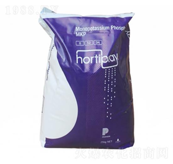 �G�����-��ţ�r�I(y��)