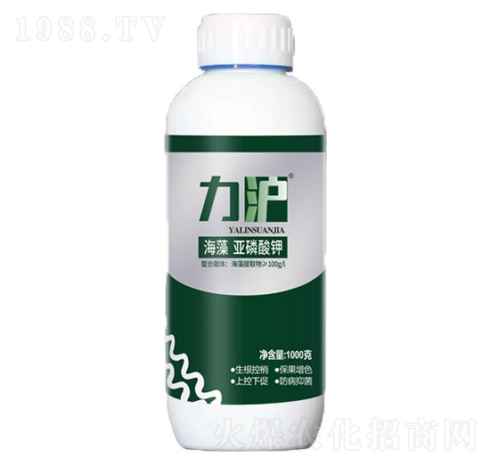 ���偆�����-��������