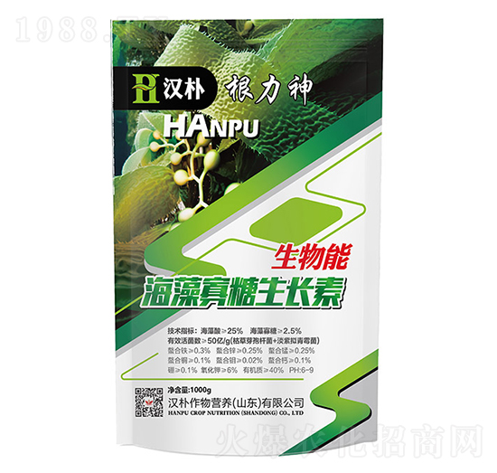 ����������L��-������-�h��