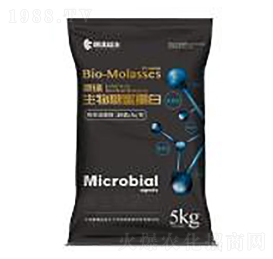 ���۵���-��������