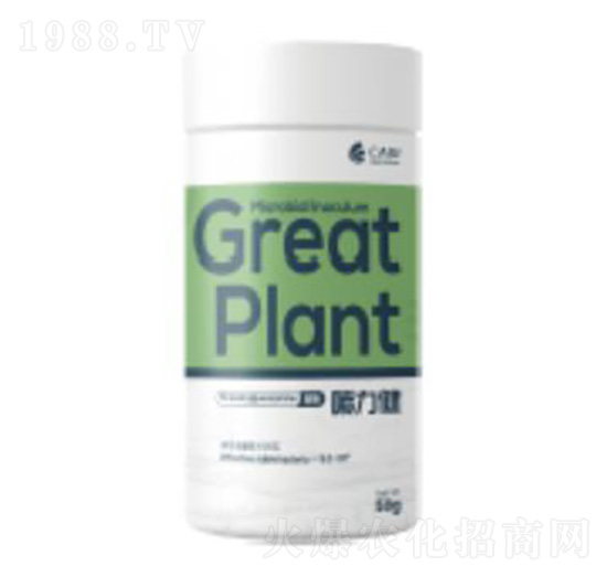 ������-��������