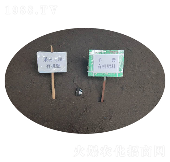 ��S�ЙC��-�r(n��ng)��ʘI(y��)