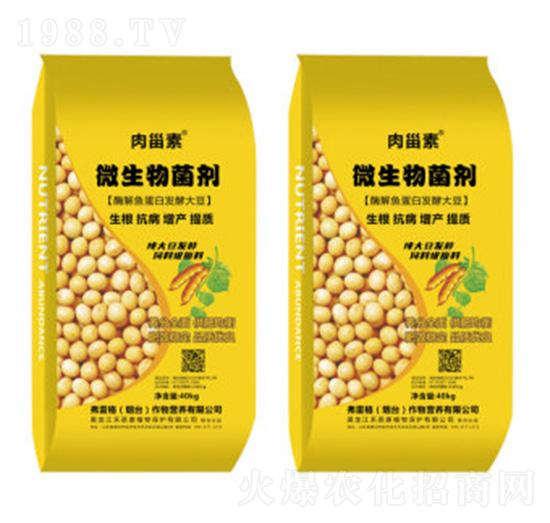 ø���~���װl(f��)�ʹ�΢�������-���׸�