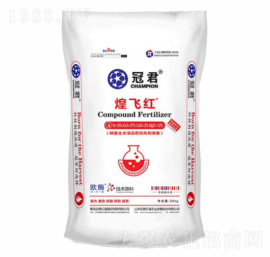 ���w�t-�ھ�-ס�̇�(gu��)�H