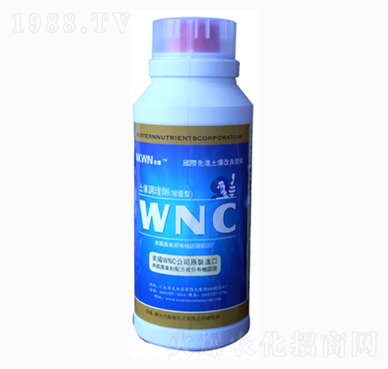 �����{�턩-�R���S�r�I(y��)