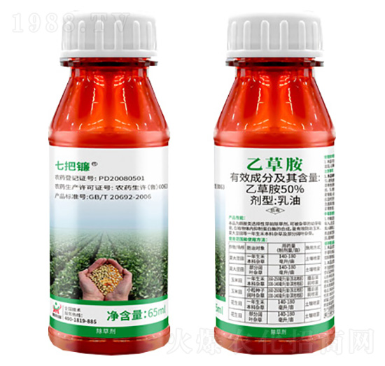 50%�Ҳݰ�-�߰��-������