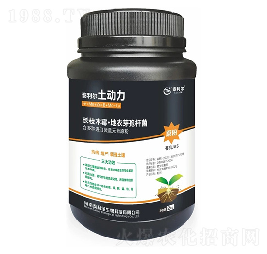 ΢�������-������-̩����