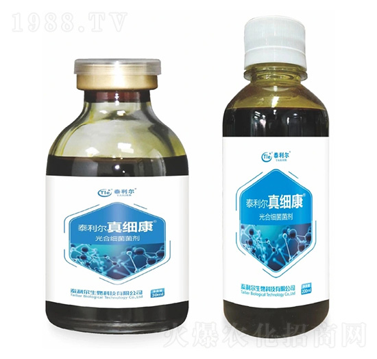 ��ϼ�������-�漚��-̩����