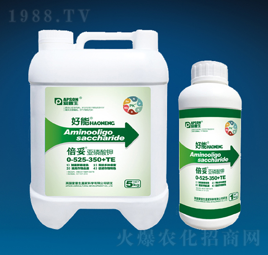 ���ס��������-����-������