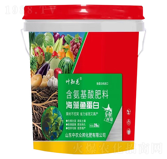 �����~����-�~֪��-���r(n��ng)����