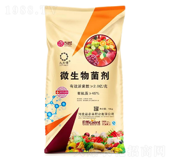 2�|΢�������-���r(n��ng)�S�ʘI(y��)