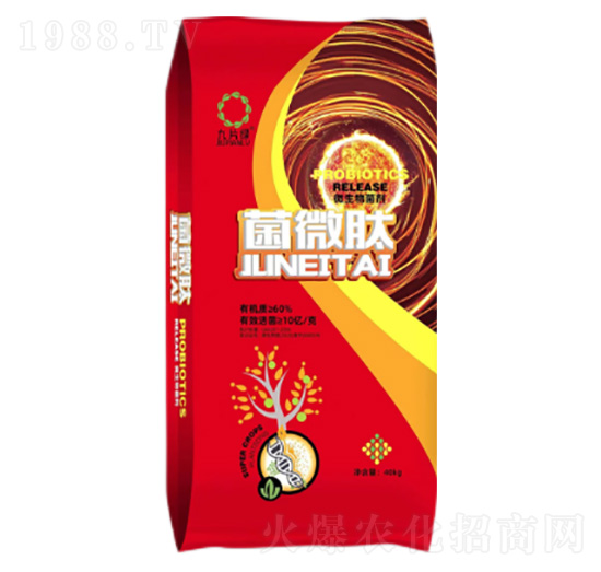 10�|΢�������-��΢��-���r�S�ʘI(y��)