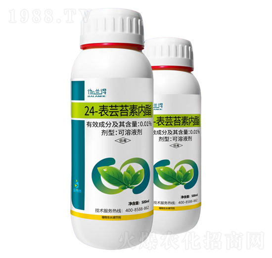 0.01%24-���|̦�؃���-���A��