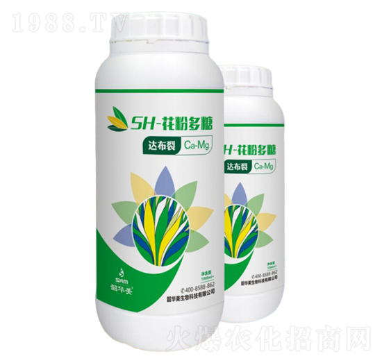 SH-���۶���-�_����-���A��