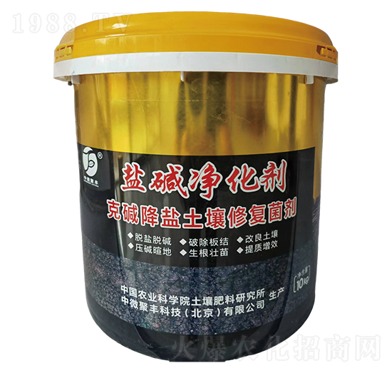 �}�A���������ˉA���}�����ޏ;�����-��΢���S