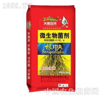 ����ٺ�-������-΢�������